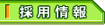 �̗p���